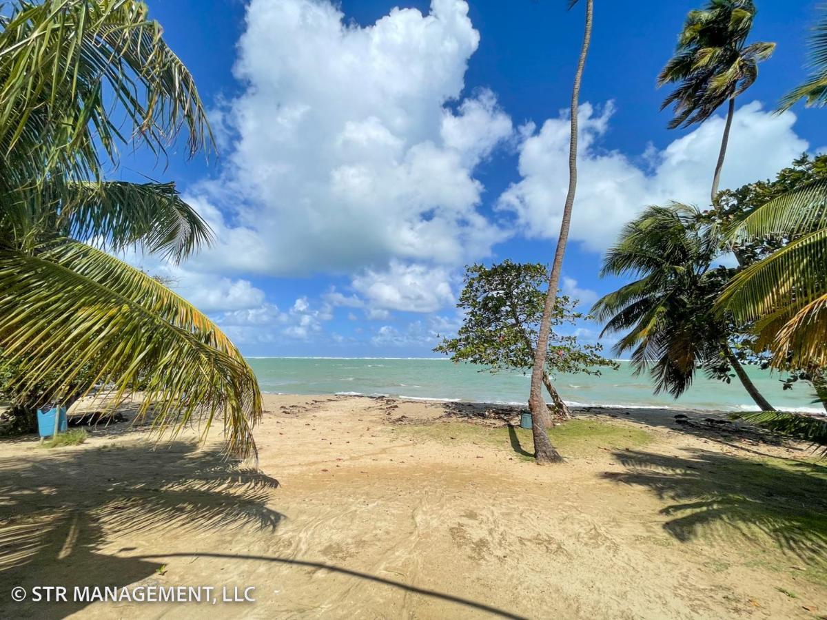 Upscale Condo At Aquatika Beach & Vacation Villas Loiza Exterior photo